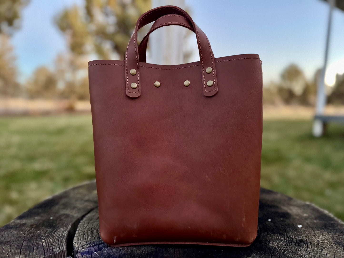 Trudy Leather Purse #612TR