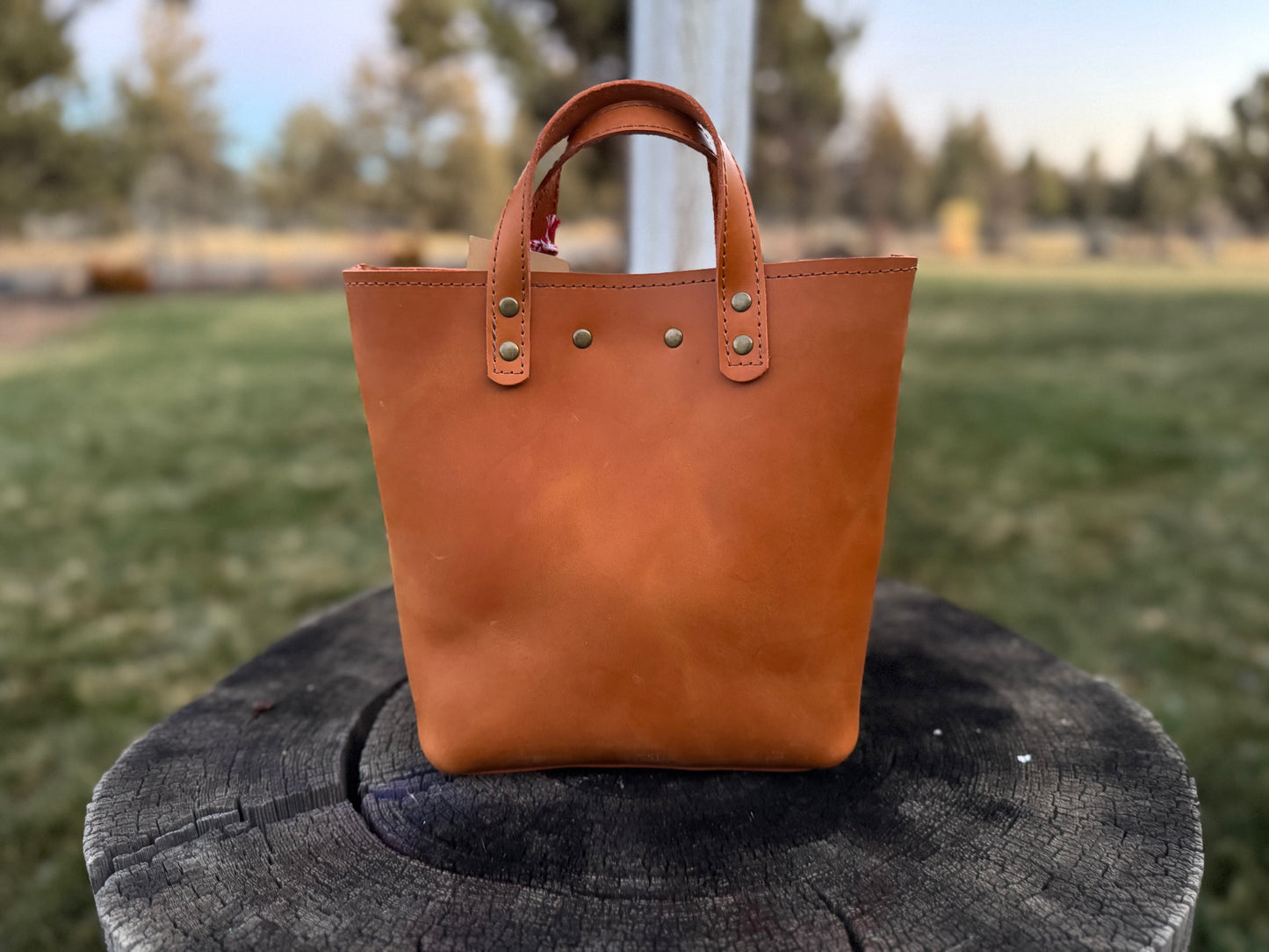 Trudy Leather Purse #613TR